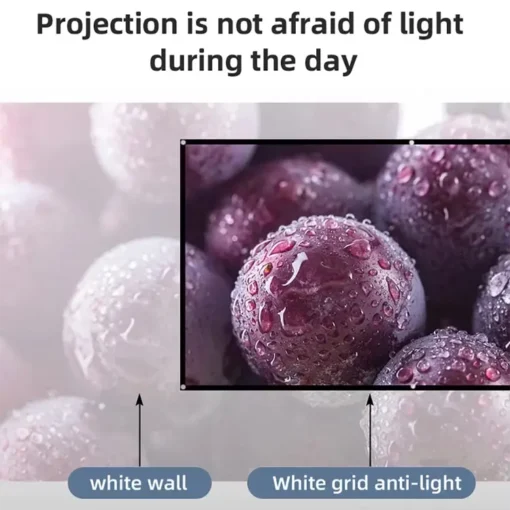 White Grid ALR Projector Screen Price In Bangladesh | AUN